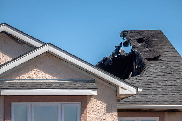 Licensed Odor Removal service in Plant City, FL - Fire Damage Laser Cleaning